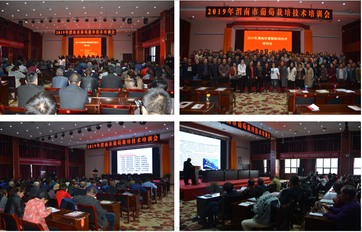 51985bd4151549bf97fd3583108b29cd.png 51985bd4151549bf97fd3583108b29cd.png